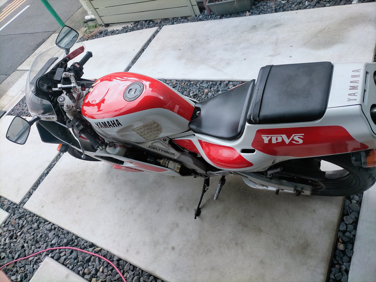 3MAちゃんとデート
とおもったら雨降ってきた…
退避߹𖥦߹