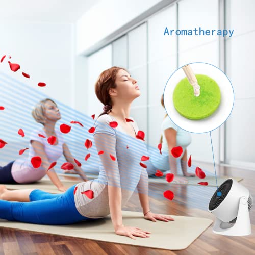 MarAdrea's tweet photo. Discover the Best Tredy Fan for Your Bedroom
https://t.co/Sh82CVidRJ
#summervibes #summer #ecofriendly #bestappliences #appliance #coolingfans #bedroomdevices #homeappliances #airconditioner #BestAirConditioners #beattheheat #breeze #ACalternatives #asthma https://t.co/prIOsiW1Wa