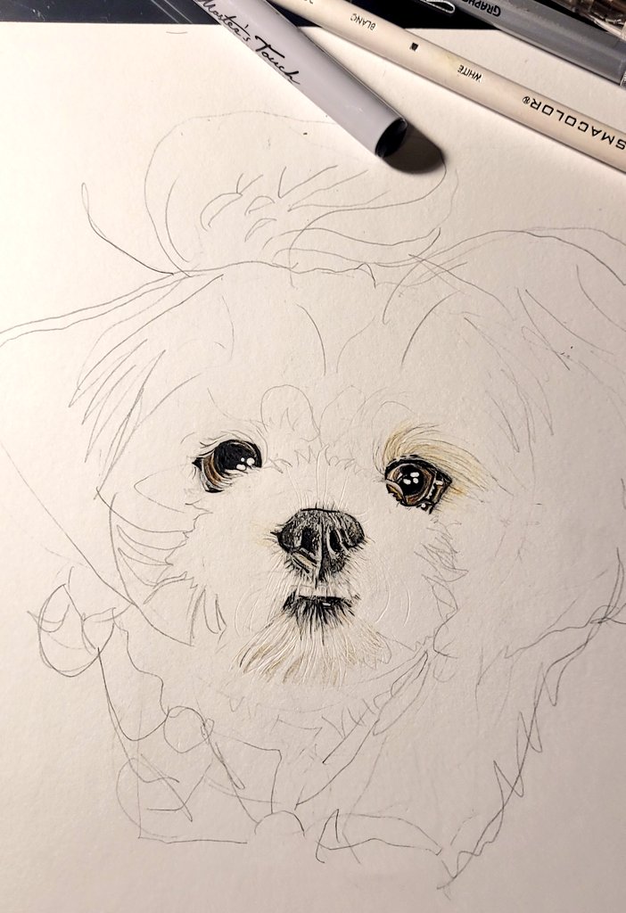 Cherry<3 

first post :)
#petportraits #petportrait #petportraitartist #art #dogsofinstagram #dogart #dogportrait #petart #artist #pets #dogs #dogportraits #animalart #dog #petsofinstagram #dogartist #dogdrawing #petportraitsofinstagram #petartist #artwork