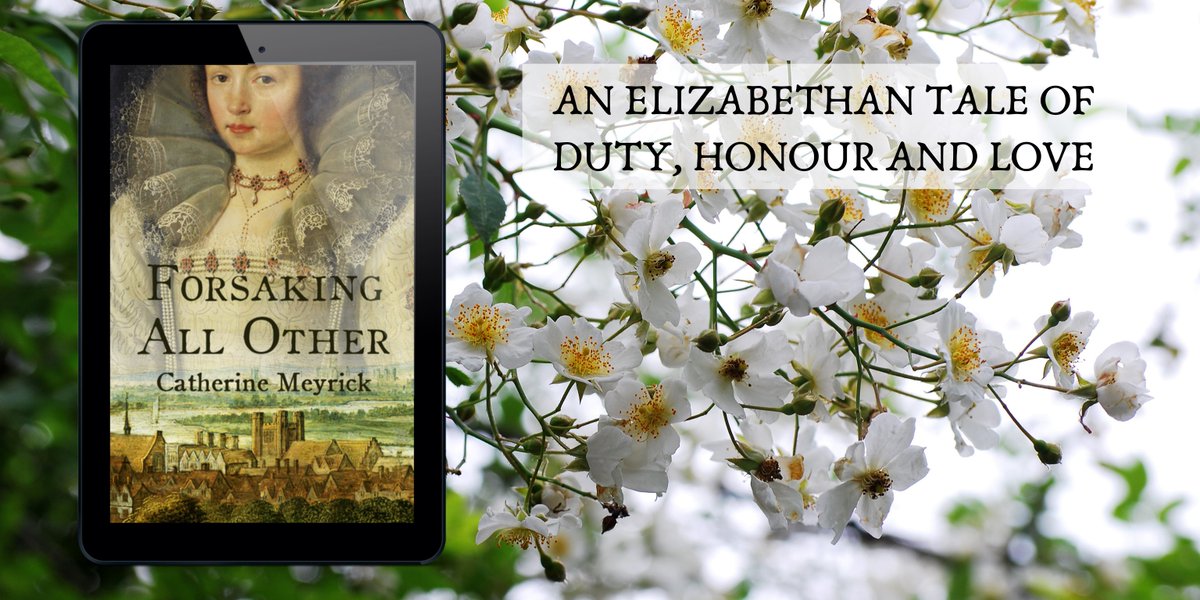 ‘All her obedience had earned her was her father’s expectation that she would agree without demur, that she would accept that her own wishes were of no importance.’

#HistoricalFiction #Elizabethan #LoveStory
books2read.com/ForsakingAllOt…