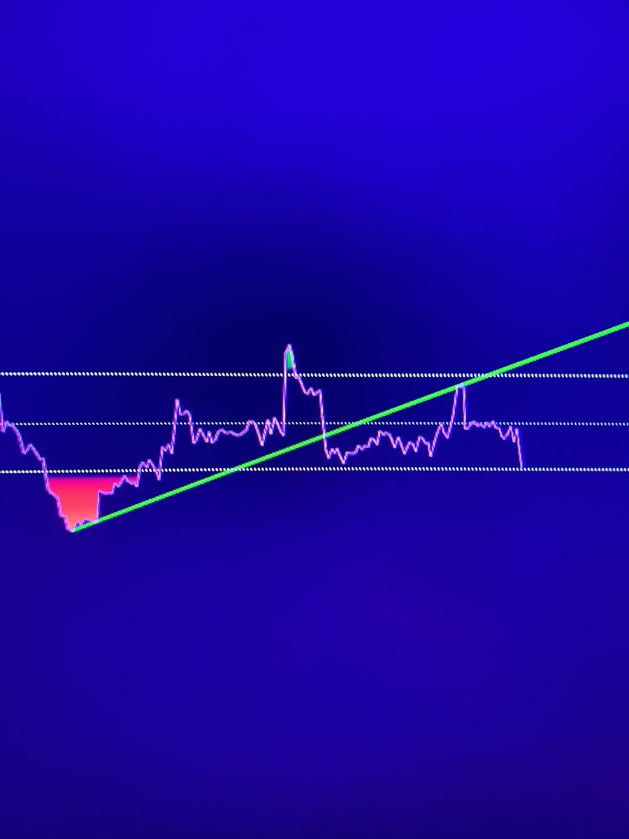 Segrust’s Trader tweet media