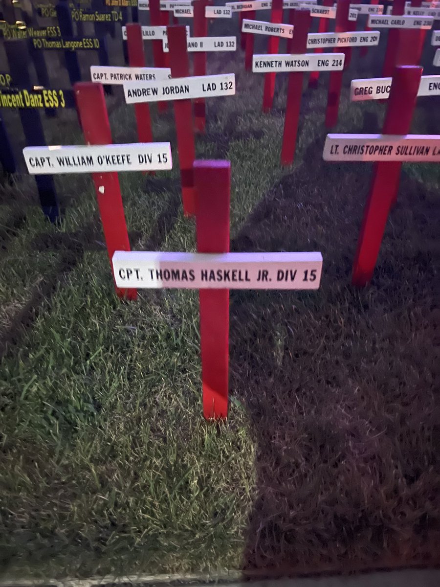 Patricia Foley tweet media