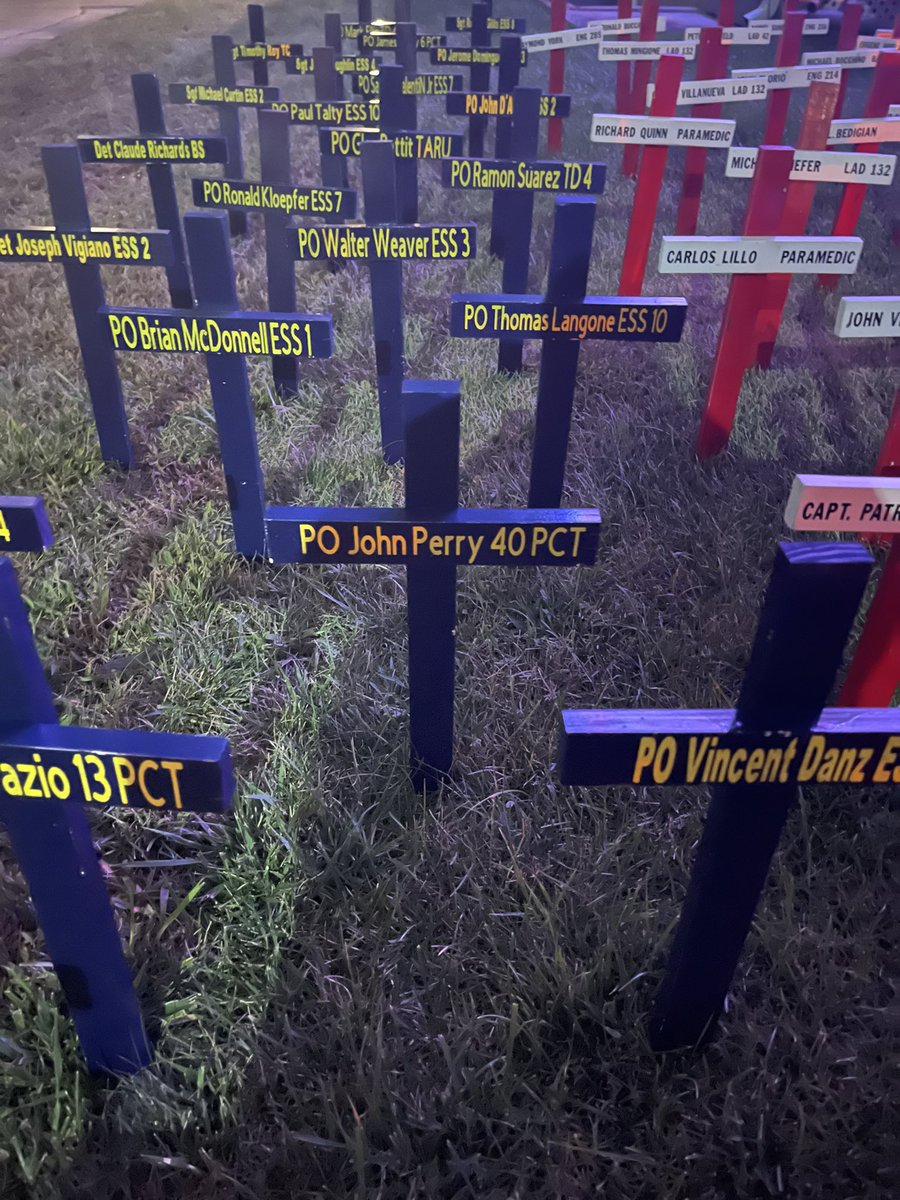 Patricia Foley tweet media