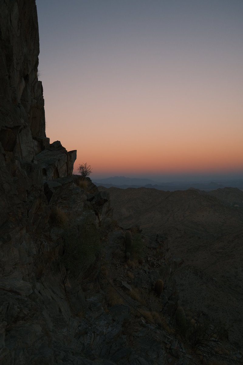 Melissa Tassone tweet media