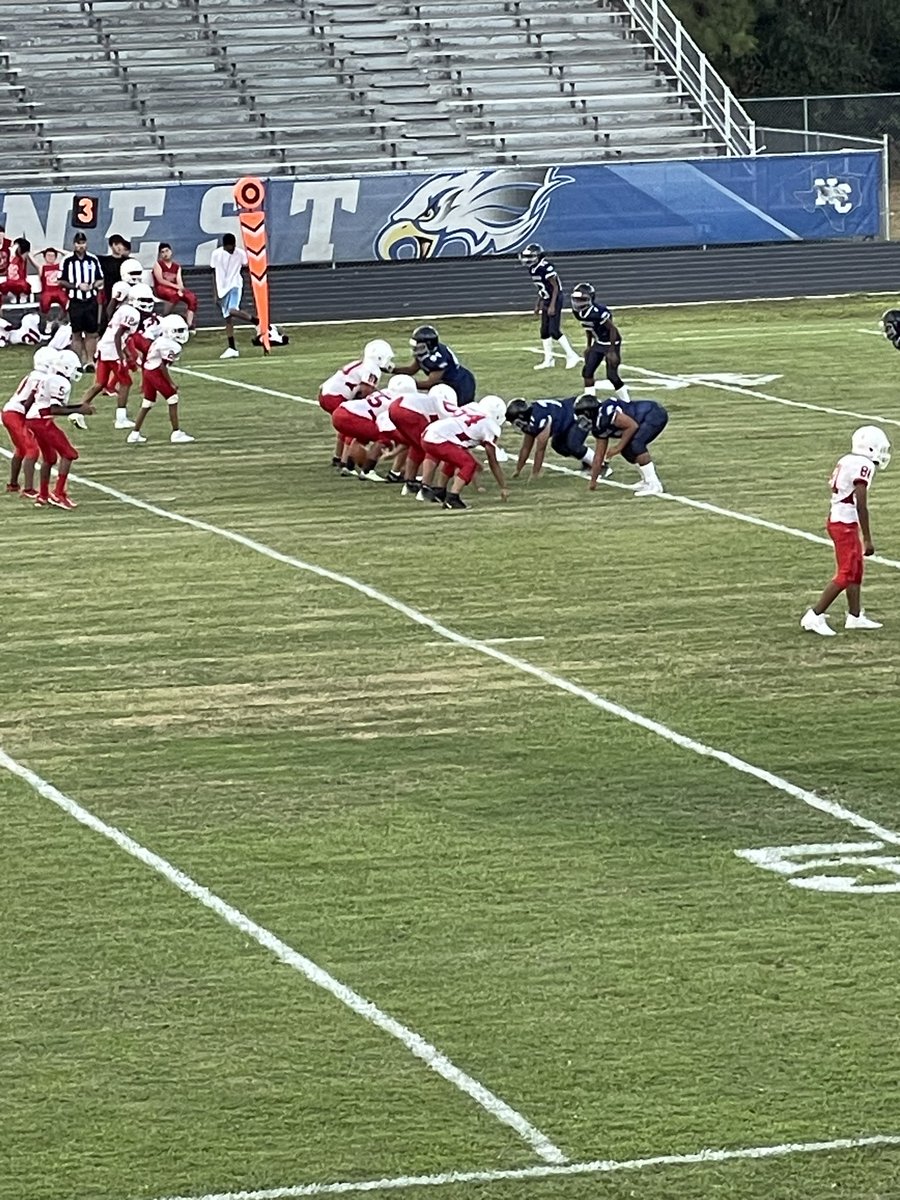 Kristen Cline tweet media