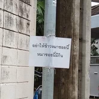 bokbak lee tweet media