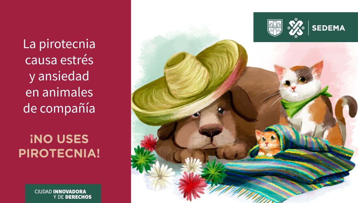 SEDEMA_CDMX's tweet photo. ¿#SabíasQue la pirotecnia causa estrés y ansiedad en nuestros #AnimalesDeCompañía? ¡Estas #FiestasPatrias no quemes cohetes! ❎ #VivaMéxico #SinPirotecnia 👉 https://t.co/vpgJnqyvyK https://t.co/H5XzjiwoA3