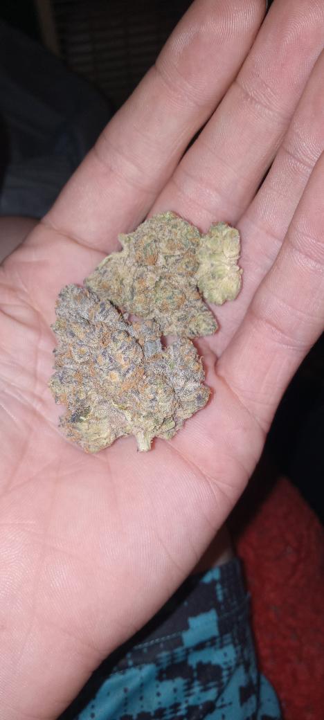 420PandaNation's tweet photo. $25 +5 shipping an eighth $150 an oz shipped! #STONER #StonerFam #Weedmob #weedsmokers #WeedLovers #weedlife #weedday #weed #buds #animalface https://t.co/0iyWiw2Svx