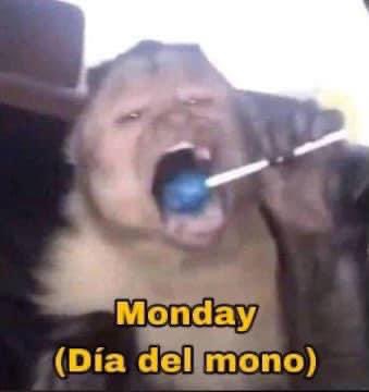 ElJeringasLoko's tweet photo. hoy https://t.co/hJfqiUd54f