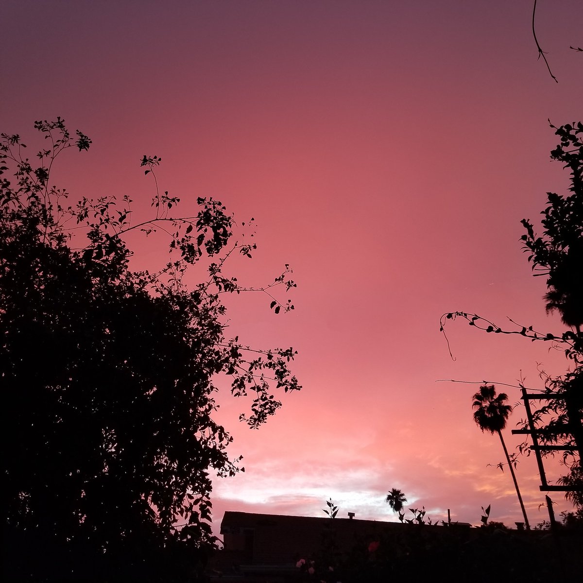 daisyrensolo's tweet photo. THE PRETTY SKY 😩😍😍 #LASunset https://t.co/kvg6zKzFvX