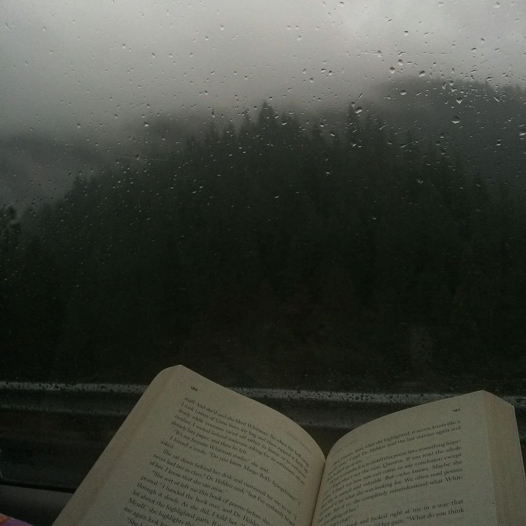 poetical photos. (@poeticalphotos) on Twitter photo 