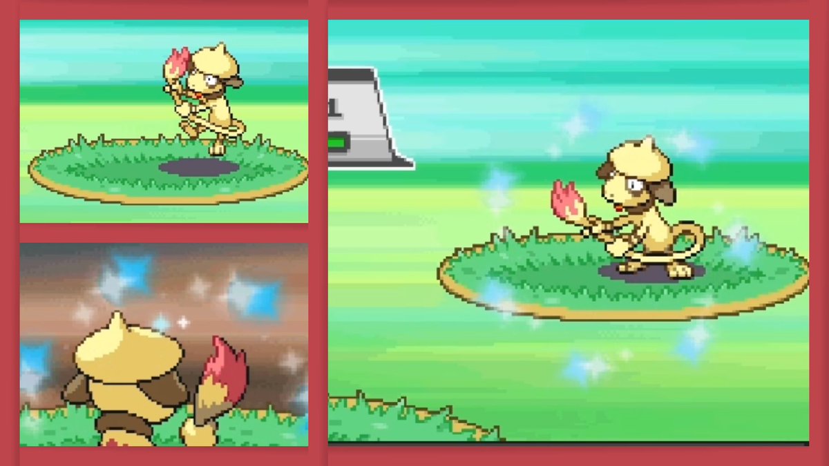 Shiny Smeargle from Safari Week 
Fail or Win ?

youtu.be/dxoQzvfsekI?si…