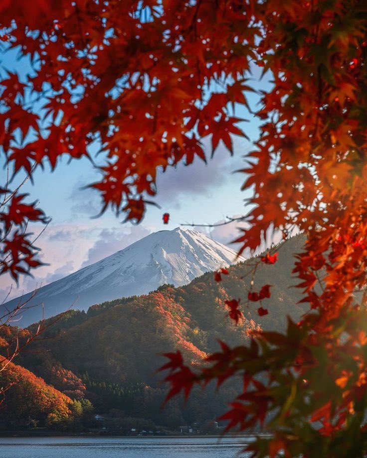 helena_mar19's tweet photo. Good Morning 
Have a Nice Day 

(Japan,📷Pinterest) https://t.co/VlvB6sQrAq