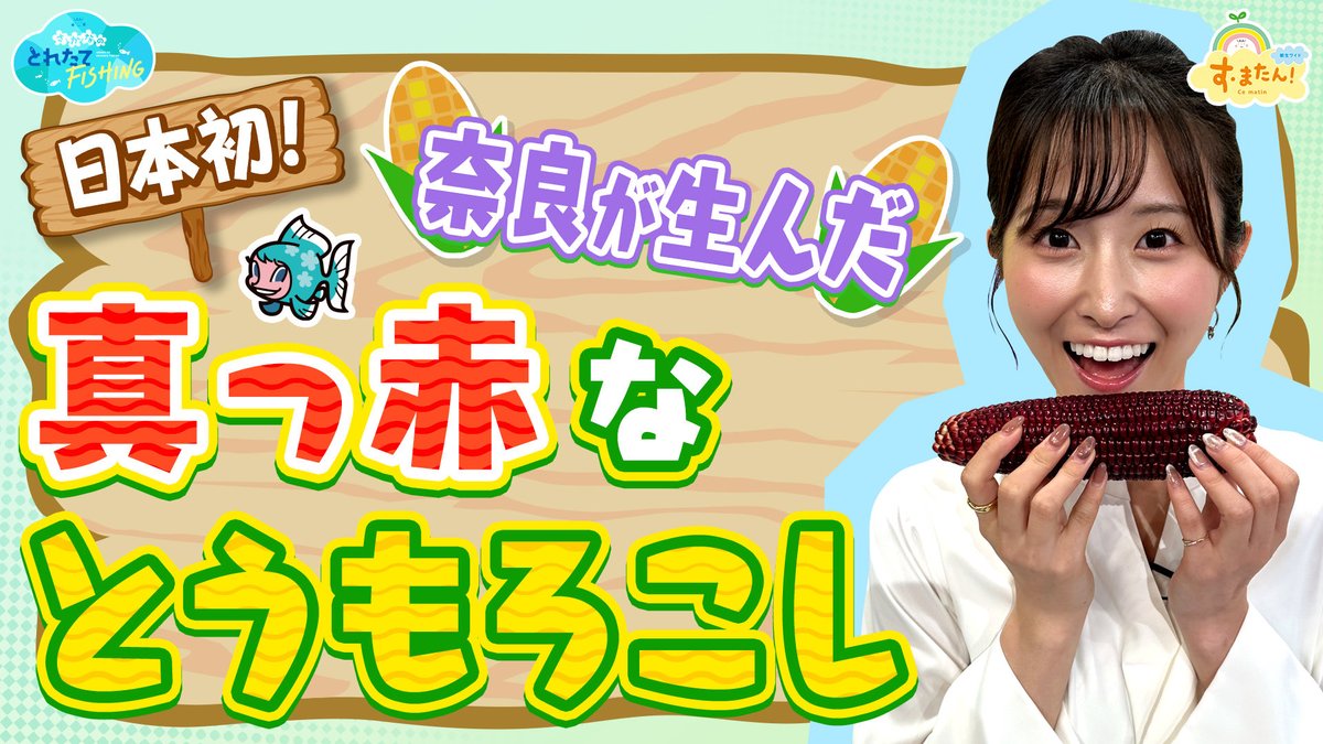 “さかな”こと #すまたん #佐藤佳奈 アナが
「きょう誰かに話したくなるネタ」をピックアップ🎣

さかなの #とれたてFISHING 🐟

本日(9/12)のネタは…
『日本初😳奈良が生んだ #赤いとうもろこし』

↓YouTubeでご覧ください👀
youtu.be/VIW0eJFqEKA

#とうもろこし 
#大和ルージュ
#enjoyfishing