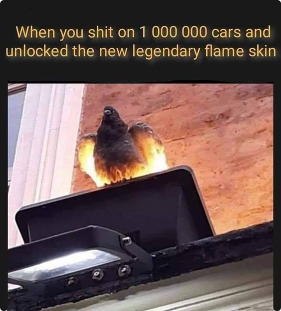 WholesomeMemes tweet media