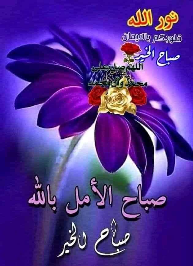 🦋 ليله ليله 🦋 tweet media