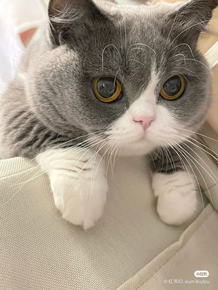 Have a nice day all everyone and good dream🥰🥰