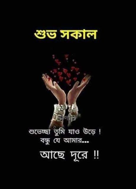 HomesPee's tweet photo. https://t.co/f30GSc8iHs