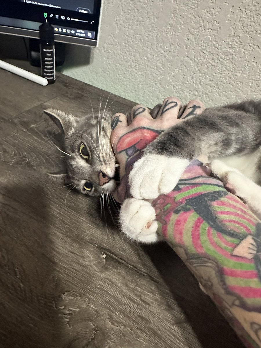 JoshIsLlama's tweet image. Fuck around and find out.