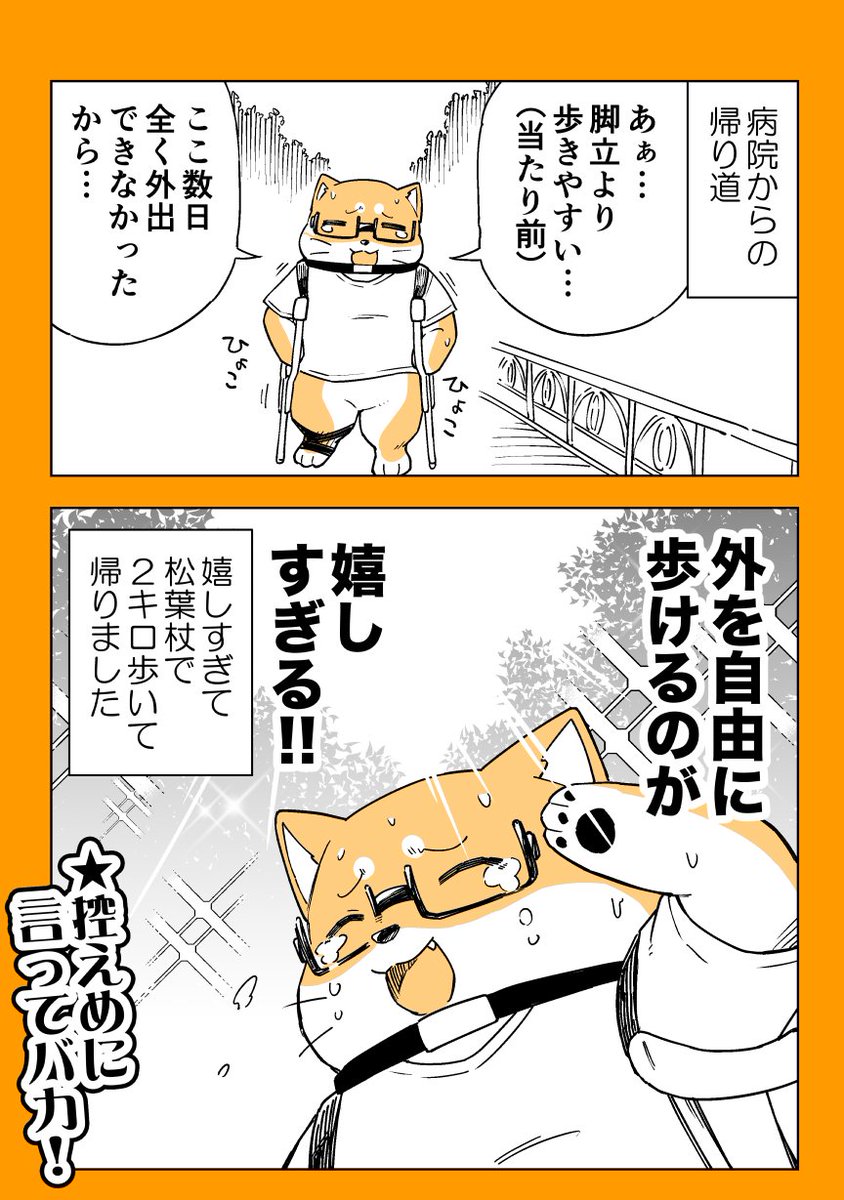 足首アイタタタマンガ 松葉杖マジ神!!!! #漫画が読めるハッシュタグ