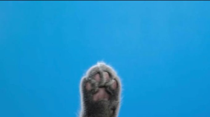 #HerosForHireHQ  https://t.co/EyKC9EakVo  #Dojacat featured in her premier live action Marvel film #enXantingXMEN<a href="/tag/herosforhirehq"class="tags">#HerosForHireHQ</a><a href="/tag/dojacat"class="tags">#Dojacat</a><a href="/tag/chanel"class="tags"><span>#chanel</span></a><a href="/tag/deadpoolmovie"class="tags"><span>#deadpoolmovie</span></a><a href="/tag/enxantingxmen"class="tags"><span>#enxantingxmen</span></a><a href="/tag/bambithelivingsimulation"class="tags"><span>#bambithelivingsimulation</span></a>