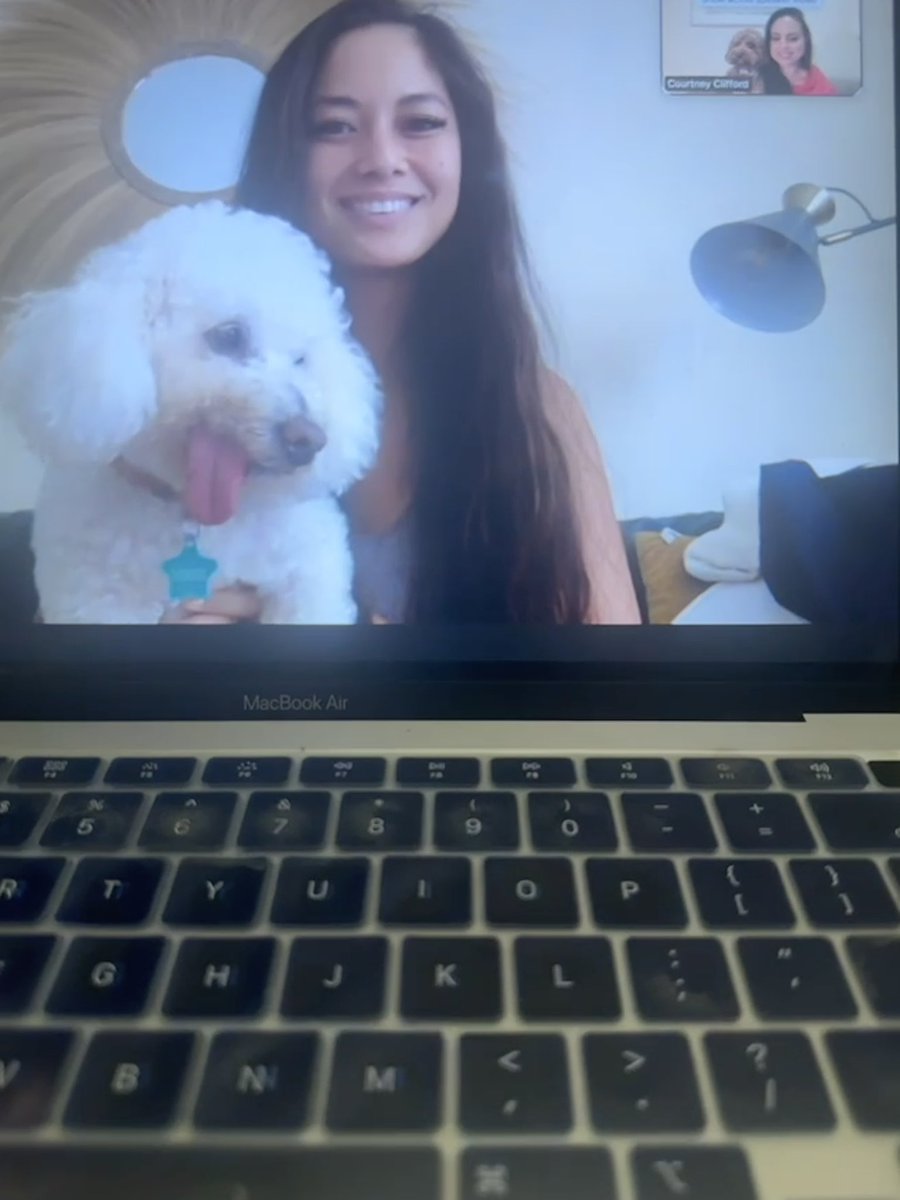 Zoom meetings at home not complete without #dogs