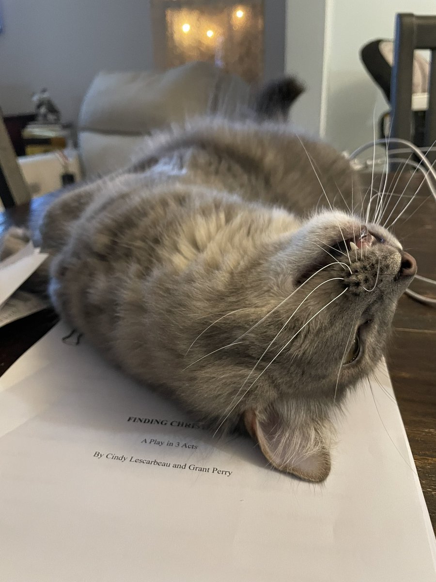 ✍️It’s a wrap!🎭

Grant Perry and I just finished “Finding Christmas” A Play in Three Acts.🙌

So, why does Mr Darcy look so exhausted?

Show me your favorite distraction.

#playwright #plays 
#cindyshappyendings💕📚💕