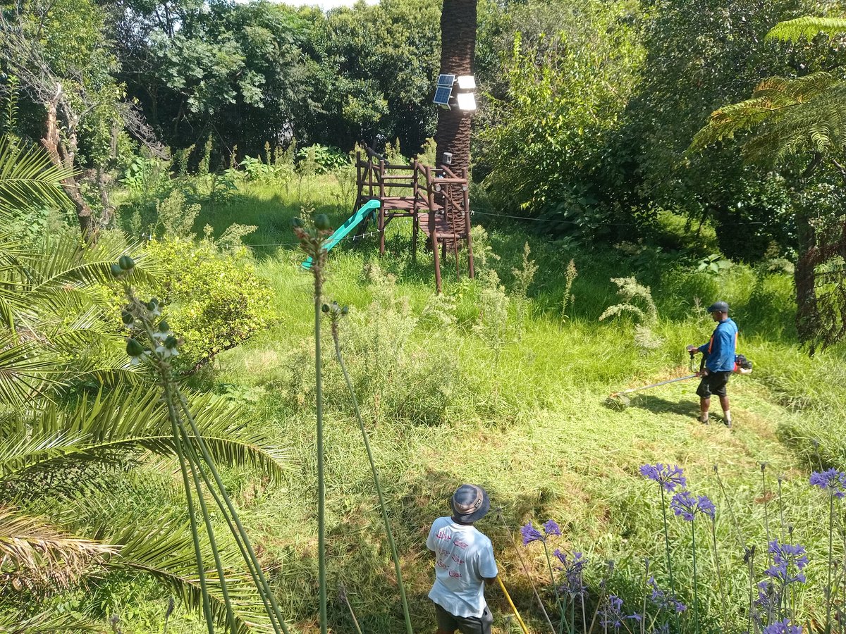 crowd1midrand's tweet photo. #RacistBanksMustFall garden  services  around gauteng  call or whatsapp 0783454063 #SenzoMeyiwaTrial #MangosuthuButhelezi #G20India2023 #jhb #Springboks https://t.co/En6tEfOEzE
