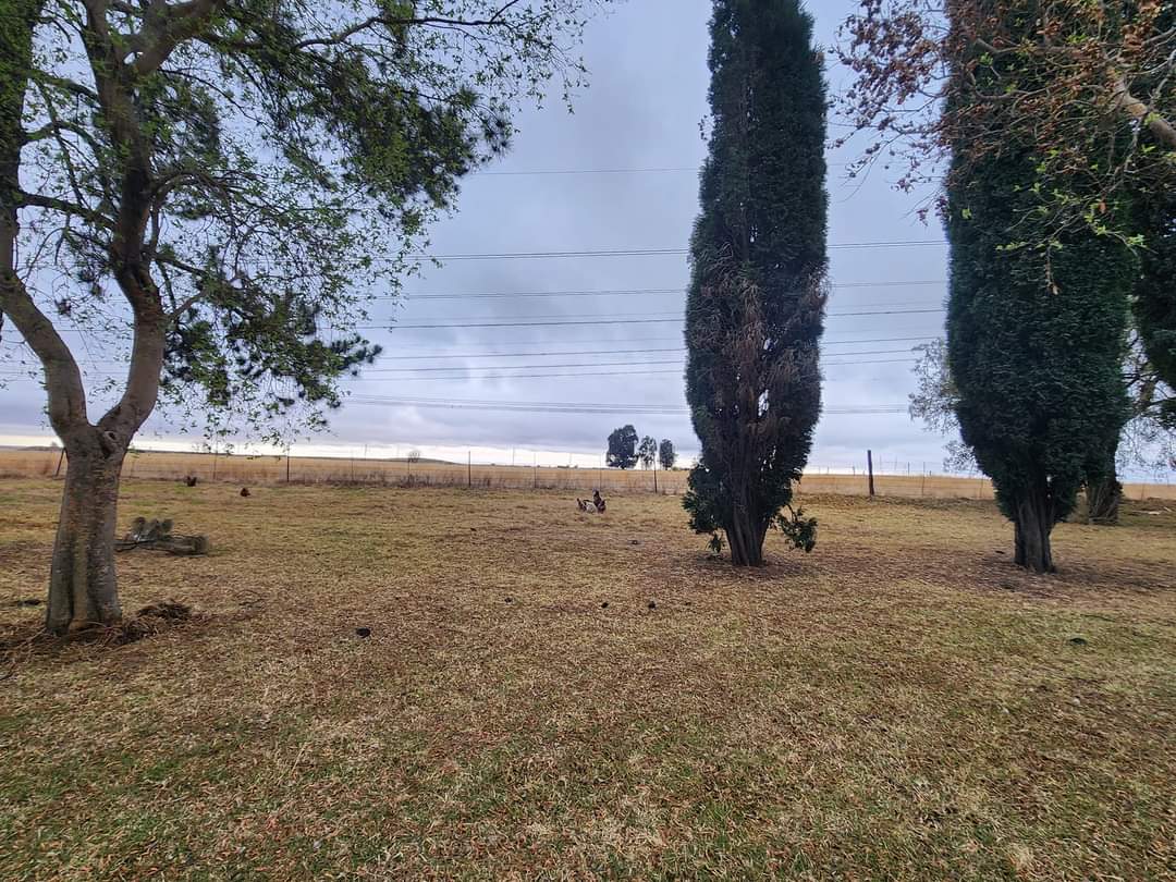 ReenvalSA's tweet photo. Daar kruip ons #koue nader vanoggend ....7h03 12/9/23
#Pullenshope #MP
📷Margaret Ueckermann https://t.co/Bj3xkClEWo