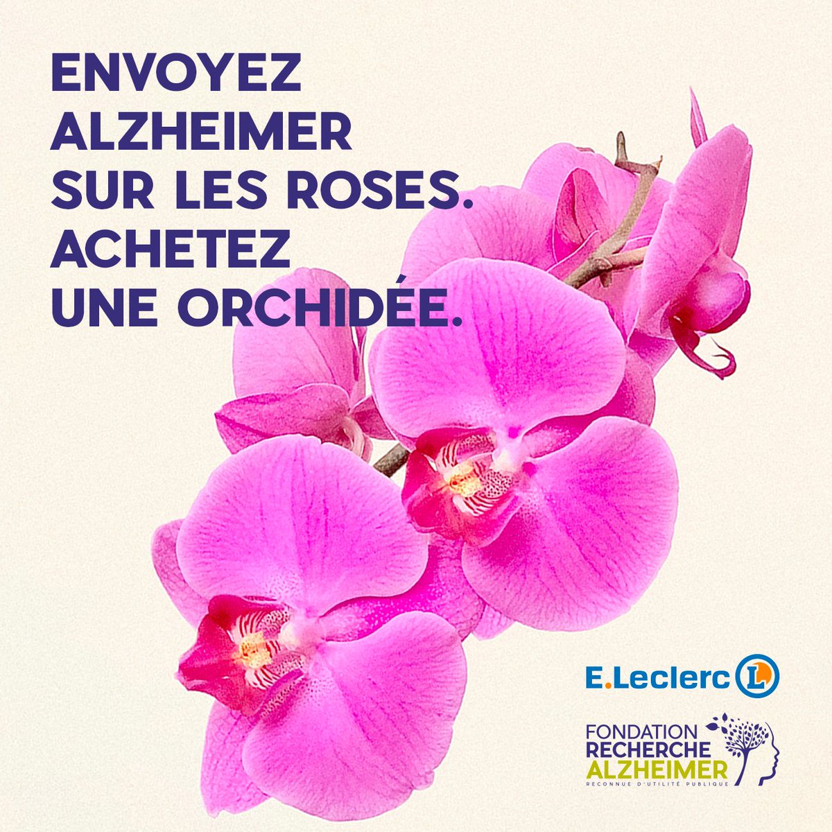 Ensemble contre Alzheimer ! Du 12 au 30 septembre, pour chaque orchidée achetée dans votre magasin E.Leclerc participant, 4€ sont reversés à la @Alzh_Fondation.