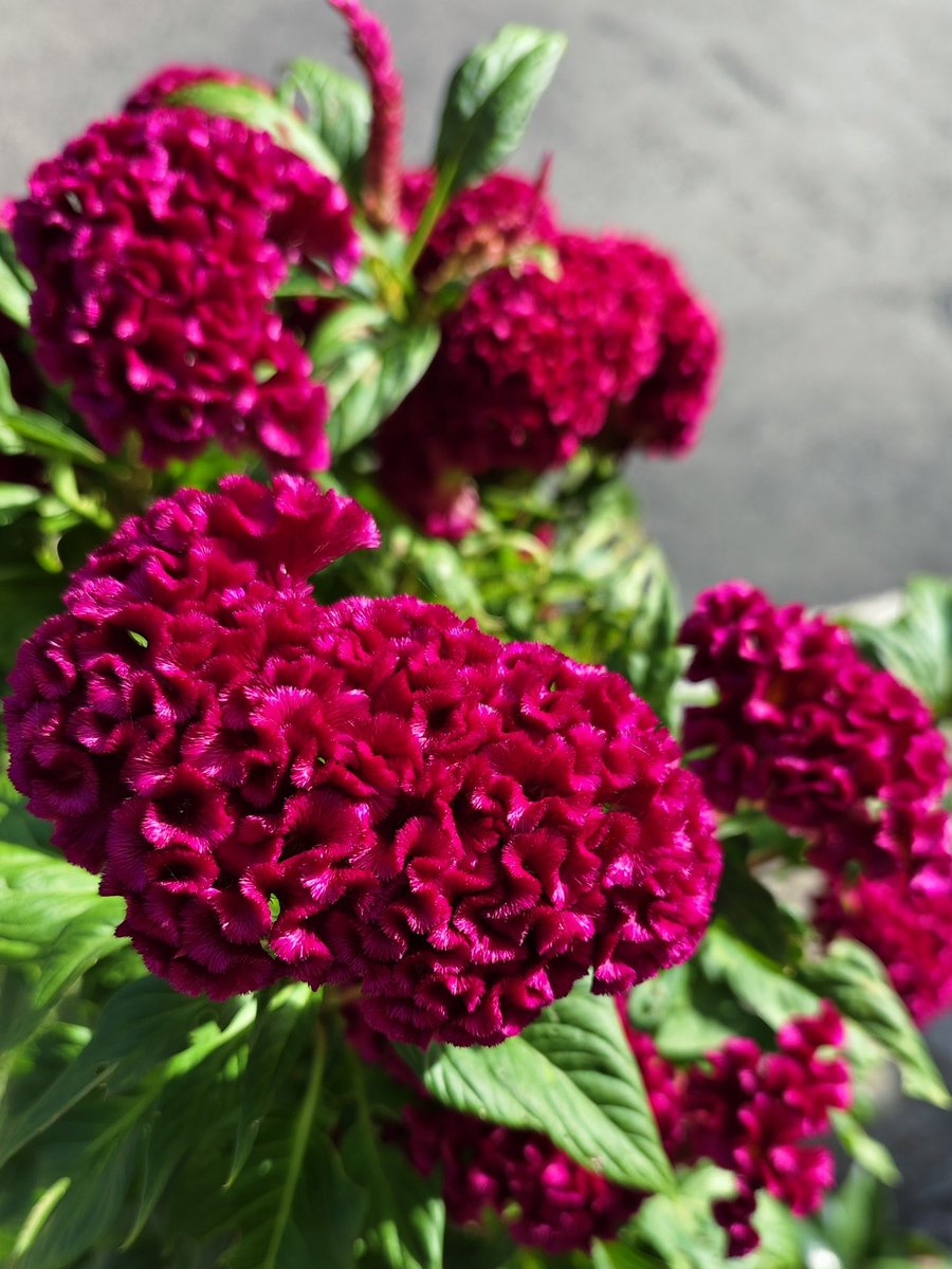 Have a nice day everyone ♥️