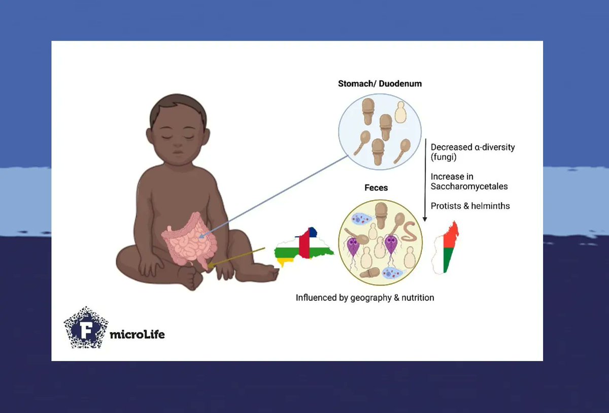 microLife tweet media