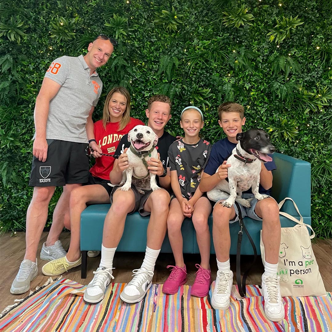 WoodgreenPets's tweet photo. Bernie and Frankie were both rehomed from Woodgreen, and owner Natalie recently got in touch with a lovely update! She told us that both dogs are well-established members of the family and accompany the family regularly on their activities and family camping trips! 💚 https://t.co/TtxxCCYDXe