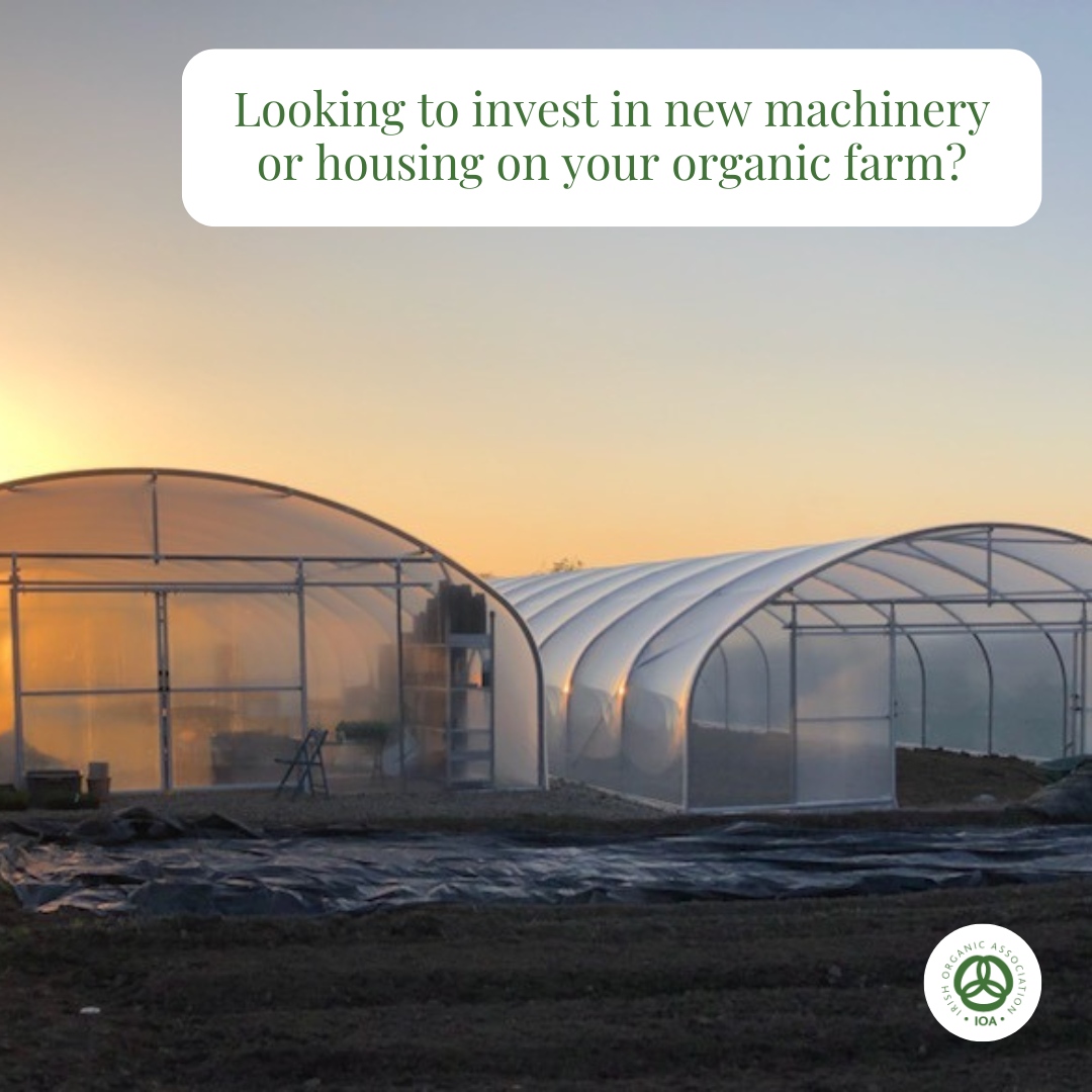 IrishOrganicA's tweet photo. Don’t forget organic farmers can receive grant aid under the DAFM Organic Capital Investment Scheme (TAMS 3)
 
Department Applications are open on a rolling basis.
More info here: https://t.co/abonWndFM2  

#demandorganic #organic4everyone https://t.co/bWQmGygXQ8