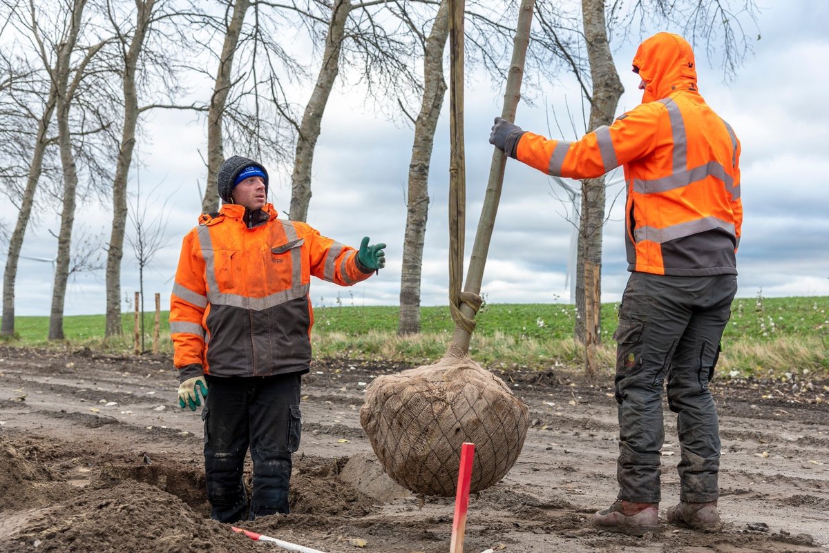 Oudewater krijgt er 300 bomen bij 🌳🌳
Weten waar ze komen, of heeft u zelf ideeën? Kom dan naar de informatieavond. 
 
✅ Maandag 25 september
✅ 19.00-21.00 uur
✅ Stadskantoor, Waardsedijk 219 in Oudewater
 
Meer informatie? Ga dan naar de website: obi41.nl/2nzpft3t