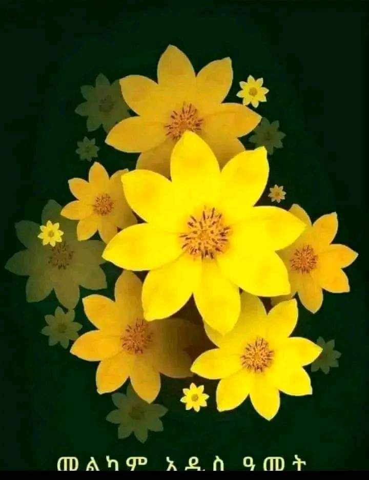 መልካም አዲሰ አመት ይሁልልን ❤🌻❤🌻