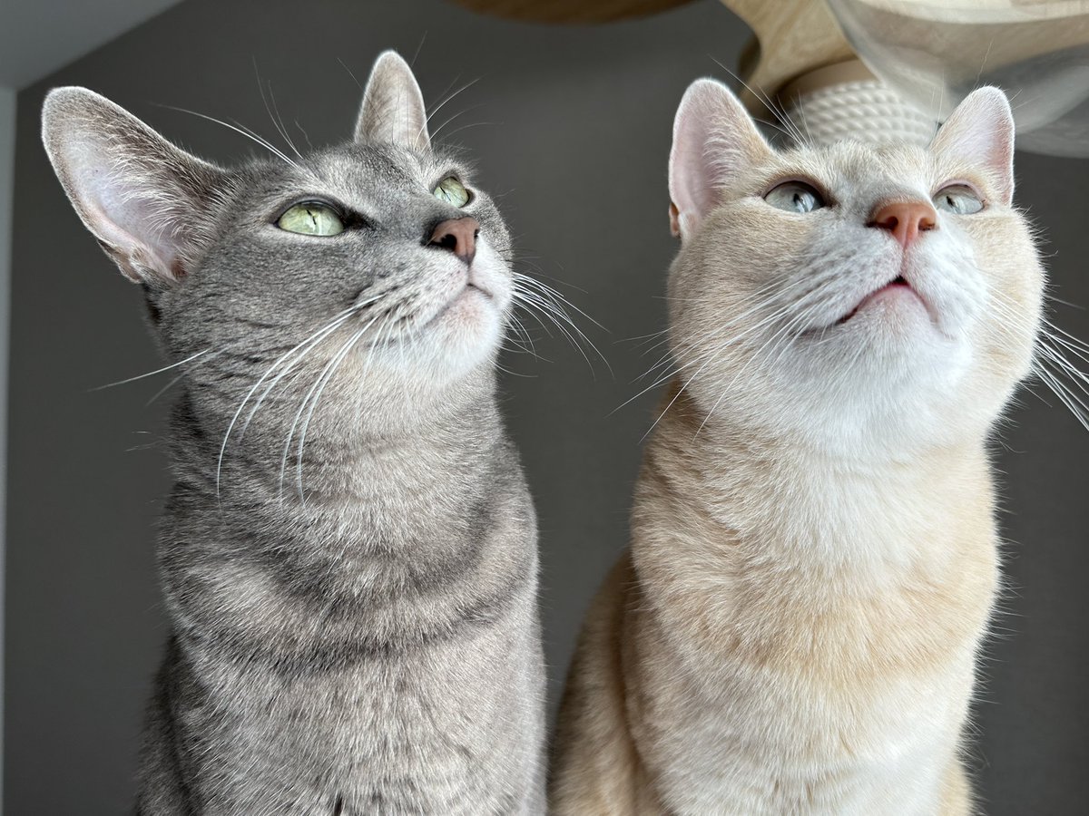 お目目キラキラ🥺✨