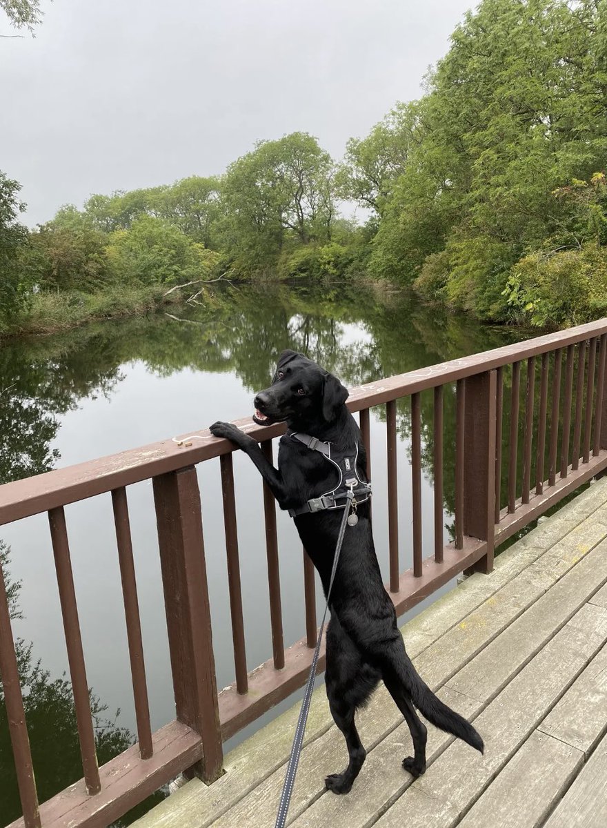 FRiiKKE (@friiikke) on Twitter photo 