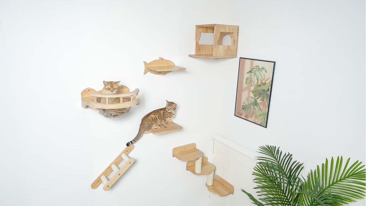 Cat Wall Stand: A great way to increase your cat’s activity and energy. Cat wall shelves provide cats with the opportunity to exercise, stimulate their minds and enhance their happiness. Allow cats to jump, climb, observe the outside world. petomg.com #cat #catwall