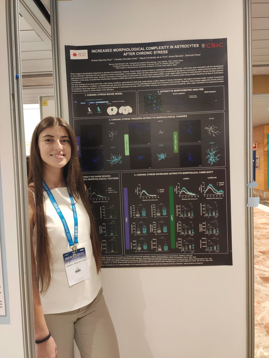 Gertru Perea (@gertruperealab) on Twitter photo <a href="/AndreaSanRu/">Andrea Sánchez Ruiz</a> our very talented PhD student showing last data of the lab at #IBRO2023, don't miss it! 😉
Poster J15. Tuesday 12/9 8:30-13:45
<a href="/GertruPereaLab/">Gertru Perea</a> <a href="/InstitutoCajal/">Instituto Cajal-Centro de Neurociencias Cajal-CSIC</a> <a href="/IBROorg/">IBRO - International Brain Research Organization</a> <a href="/CSIC/">CSIC</a> <a href="/SENC_/">SENC</a> <a href="/AndreaSanRu/">Andrea Sánchez Ruiz</a> our very talented PhD student showing last data of the lab at #IBRO2023, don't miss it! 😉
Poster J15. Tuesday 12/9 8:30-13:45
<a href="/GertruPereaLab/">Gertru Perea</a> <a href="/InstitutoCajal/">Instituto Cajal-Centro de Neurociencias Cajal-CSIC</a> <a href="/IBROorg/">IBRO - International Brain Research Organization</a> <a href="/CSIC/">CSIC</a> <a href="/SENC_/">SENC</a>