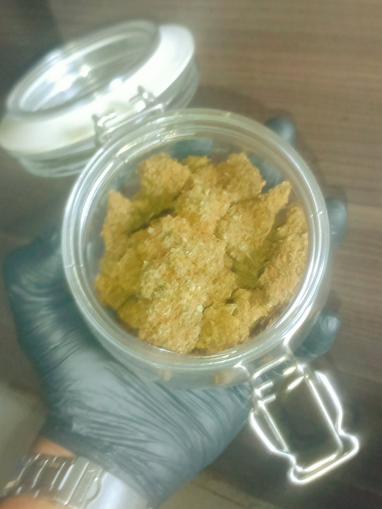 NongflukN's tweet photo. 🍁ชื่อสายพันธ์🍁
= BlueberryMuffinR2 
🌳ขนาดดอก 🌳
= กลางดอก - หัวดอก
🌳เกรด🌳
= Top-Shelf
Indica = 80%🌙🌙🌙🌙
Sativa = 20%☀️
🥴THC = 22-24%
ราคา 149/G
ตัวนี้เน้นหวานๆเพลินๆกลิ่นหอมหวาน ฟิวค่อยๆขึ้น พอขึ้นแล้วขึ้นยาวเลยครับ สำหรับสายพันธุ์นี้
เหมาะสำหรับใช่พักผ่อนมาก
#กัญชาog https://t.co/yfB5pvPnL2