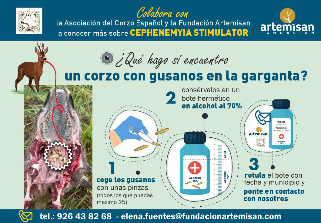 Fundación Artemisan tweet media