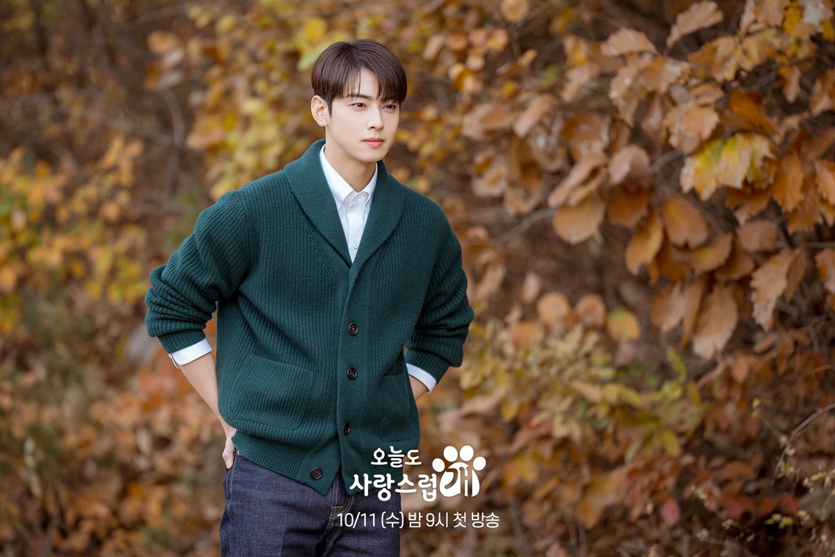 mbcdrama_pre's tweet photo. 차가워 보이지만 마음은 따뜻한 서원 선생님❤️‍🔥
서원 선생님과 함께라면 수학 만점 보장(´▽`ʃƪ)💯

#오늘도사랑스럽개 #오사개
10월 11일 (수) 밤 9시 첫 방송🐶

#mbcdrama #MBC수요드라마 #MBC
#AGoodDaytobeaDog
#차은우 #박규영 #이현우 https://t.co/v2KRbxQ1n0