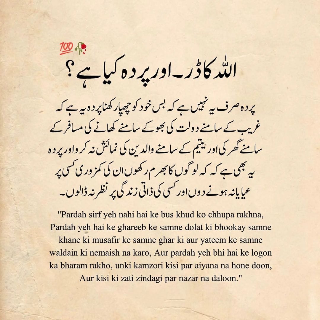 M Safdar (@sfdr_5) on Twitter photo 