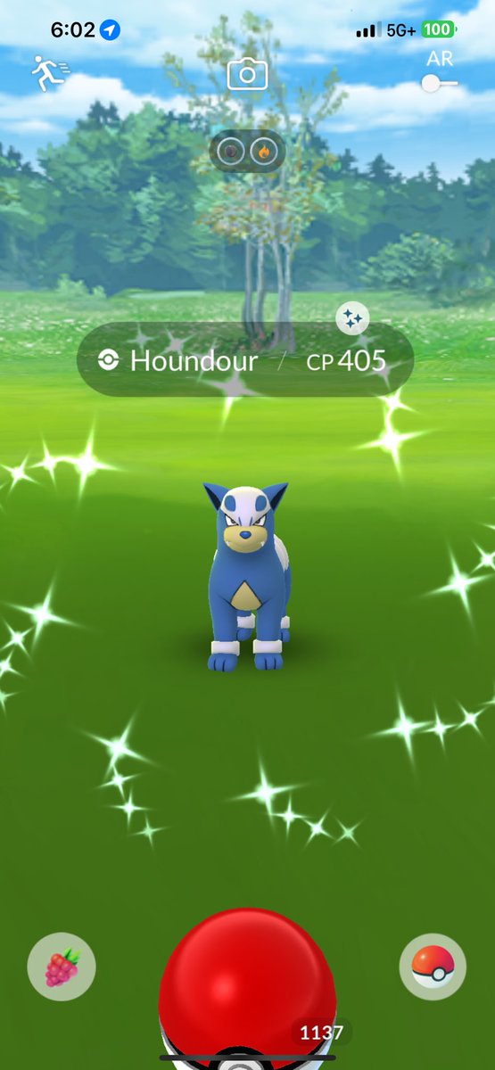 JBLadera74's tweet photo. Today’s shiny finds…. Causal playing while on the way home from work…. @PokemonGoApp #pokemongo https://t.co/Nr12H2ZH1R