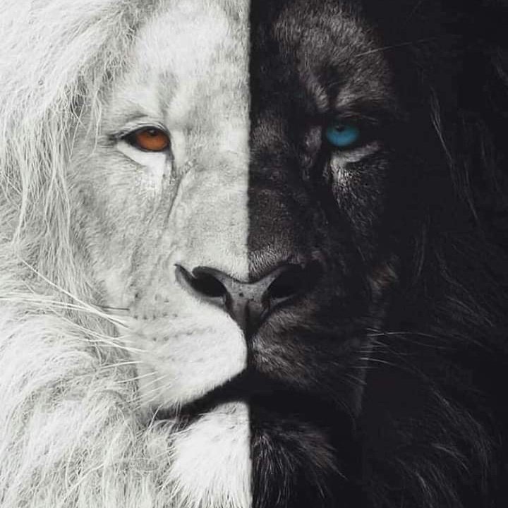 xa_thinkr's tweet photo. #NewProfilePic https://t.co/ry4XHpsd8i