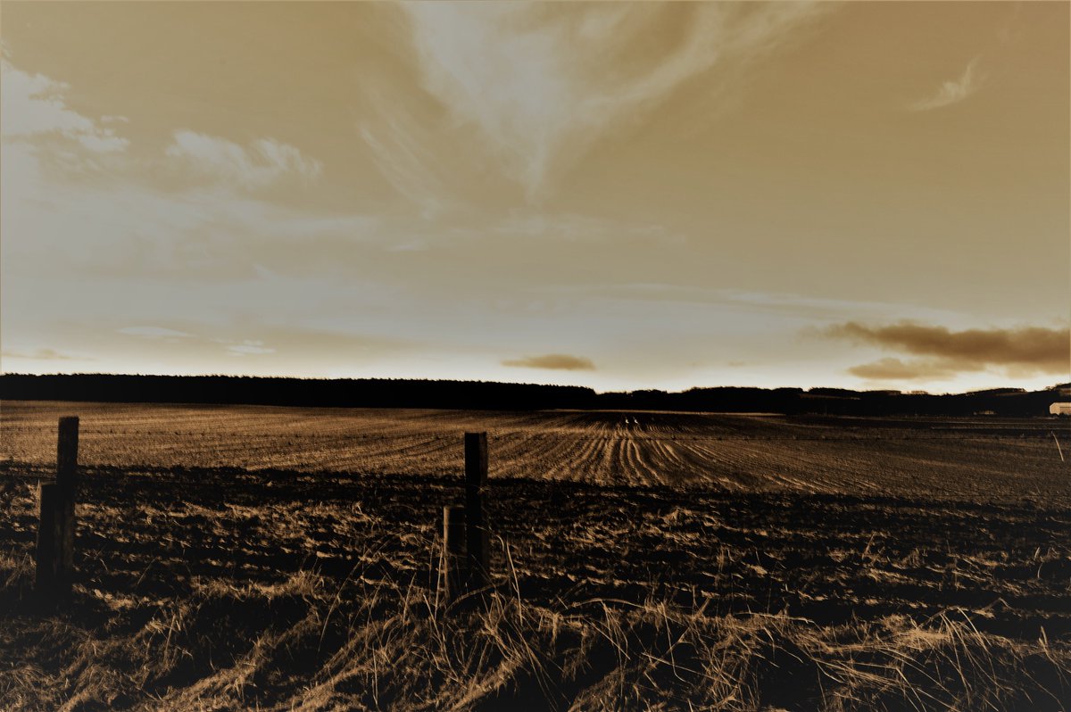 Ian Overton tweet media