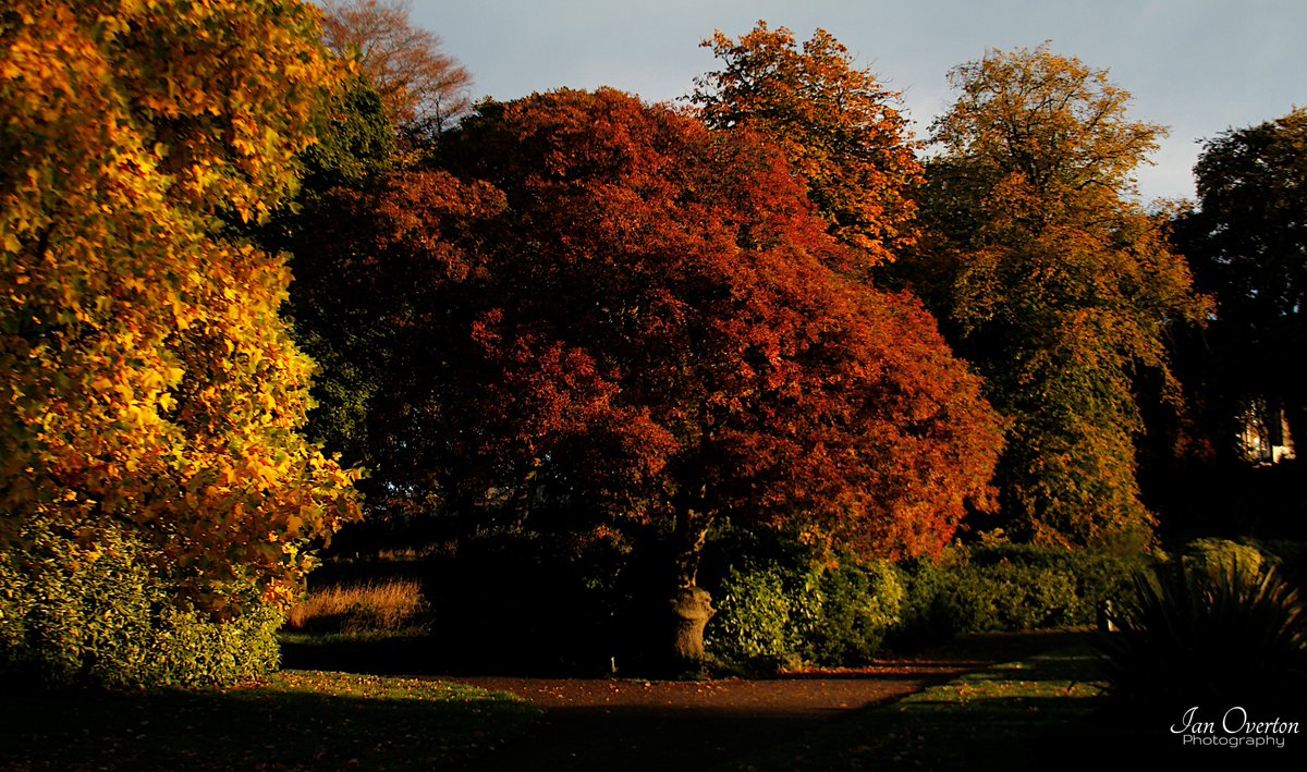 Ian Overton tweet media