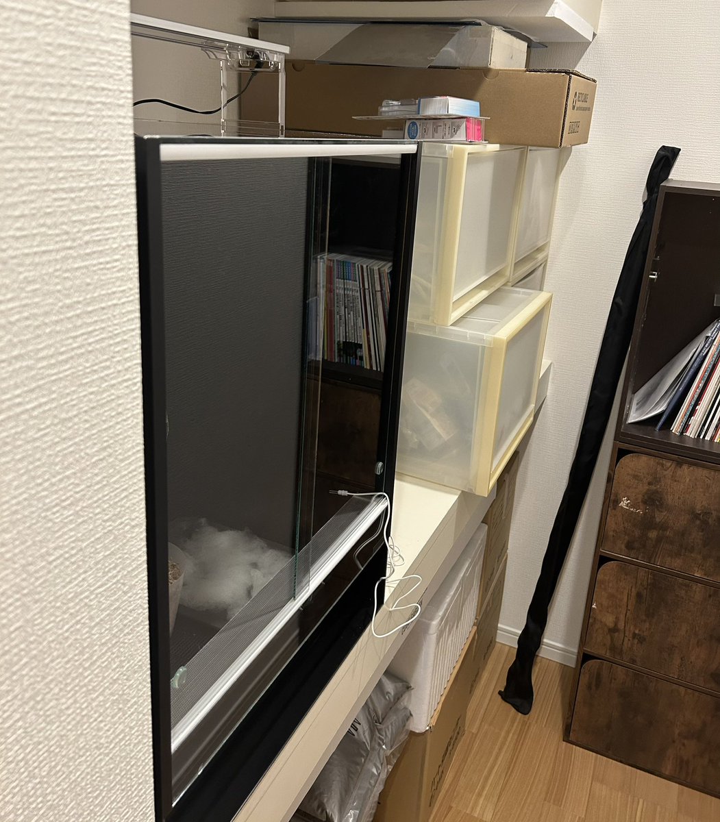 NEO87410281's tweet photo. 不人気なw  PALAB進捗。育成ケージは既に搬入済み。更に色々と育成研究道具類も揃って来ました！明日は注文していた水槽4本来るので建設予定地wを片付けなきゃですね。5パターン試した内のどの条件が一番植物育成にマッチするのかな？楽しみでしかないです！
#パラダイムシフト植物育成研究所
#PALAB https://t.co/Ft5Hc4Vb8W