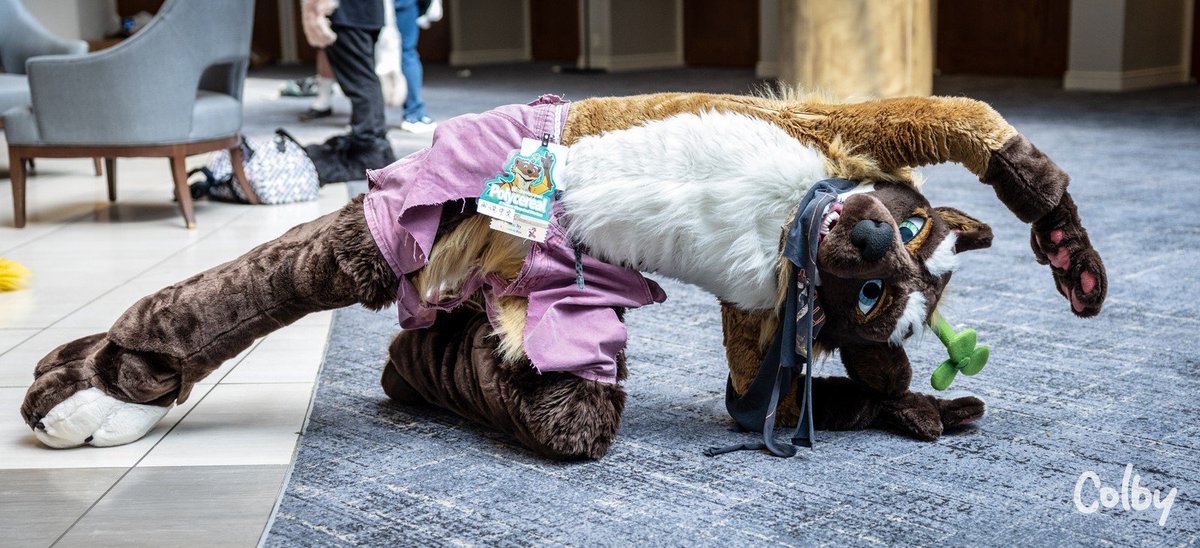 polycereal's tweet photo. Who will I see at this coming #Megaplex2023?
Similar outfit, similar pose style, and more naughty gay energy.
You're ready to be belly rubbed, muscle worshipped, and snot bopped by me (all consensual lol)
📸: @colby_husky at #TTFC2023 I tried to pose a Kansai dip (vogue old way) https://t.co/BGKsbEYAfD